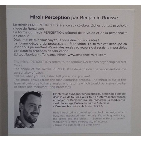 Mirror PERCEPTION by Benjamin Rousse