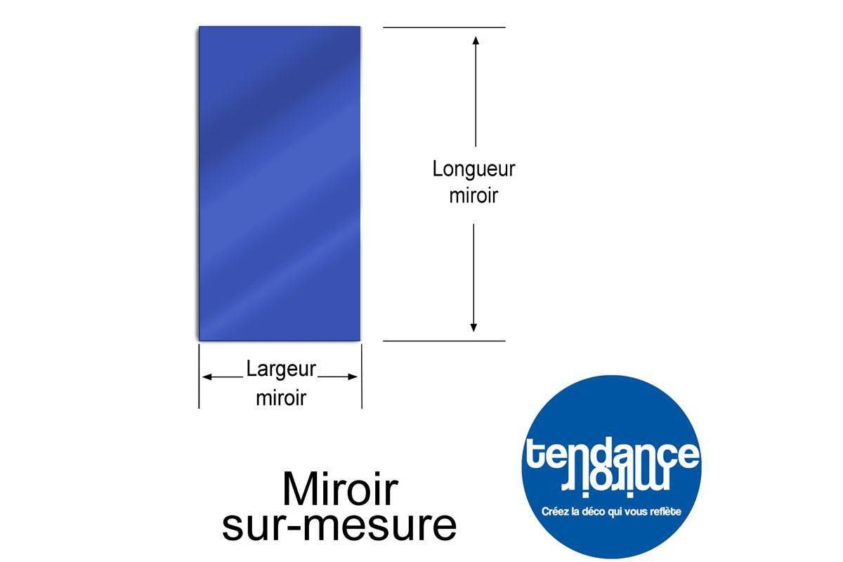 Garten Spiegel 150x50 cm Acryl - SOLIMAR SARL - TENDANCEMIROIR