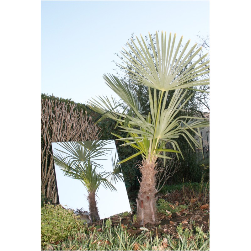 90x90 cm Outdoor Acrylic Garden Mirror