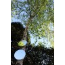Exemple de miroirs de jardin ronds à accrocher Exemple de miroirs de jardin ronds à accrocher