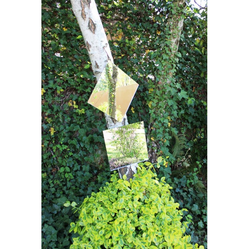 Décoration jardin miroir