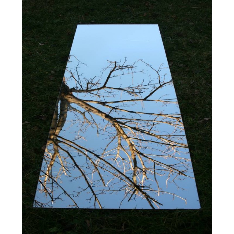 Miroir de jardin 100x50 cm en acrylique