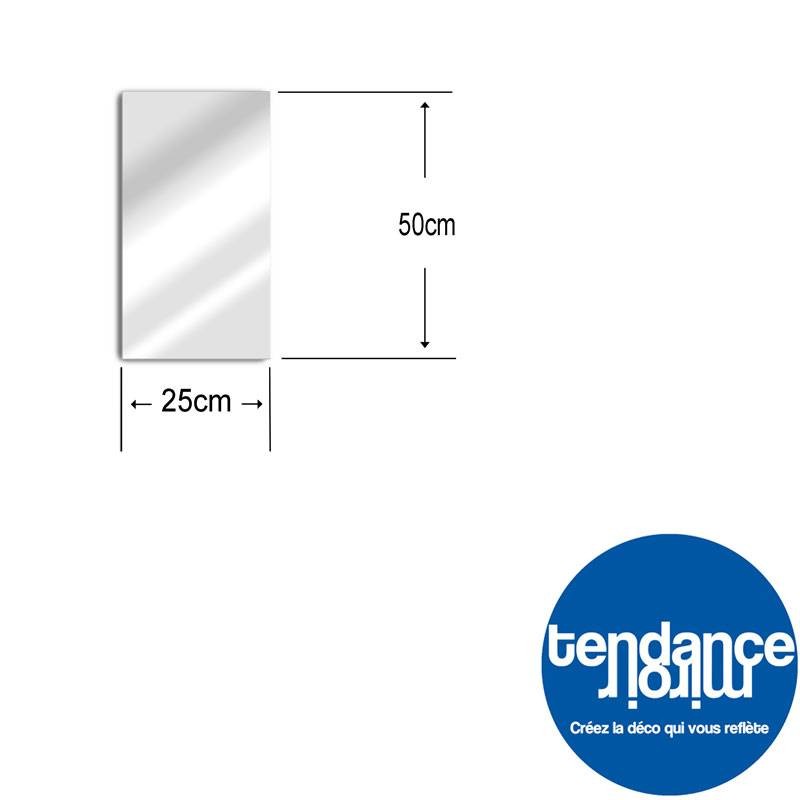 Miroir de jardin 50x25 cm en acrylique