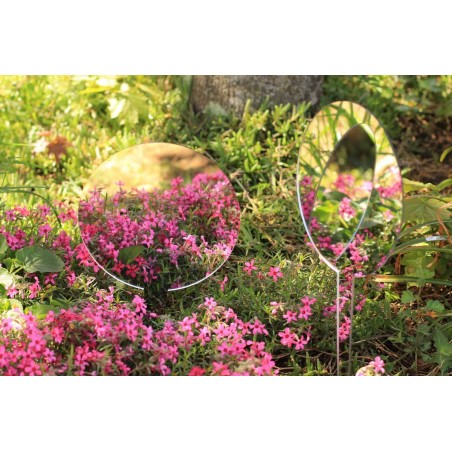 Deux miroirs de jardin à planter