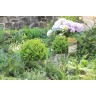 Aménagement extérieure jardin et terrasse Aménagement extérieure jardin et terrasse